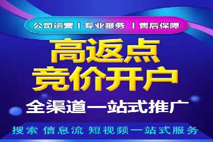 大型企业SEM外包实战案例